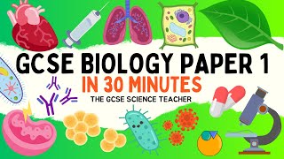 All of GCSE BIOLOGY Paper 1 in 30 minutes  The GCSE Science Teacher [upl. by Heath]