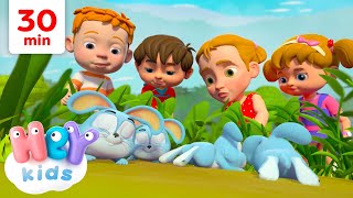 Les Petits Lapins   Chansons pour Enfants  HeyKids Français  Chanson de Lapin [upl. by Belicia]