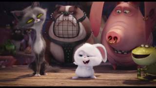 The Secret Life Of Pets  Two Kinds of Pet Owners Dog HD  Illumination [upl. by Rehpoitsirhc]