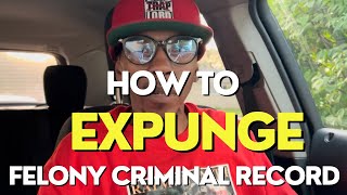 📝HOW TO EXPUNGE FELONY CRIMINAL RECORD  5 Steps [upl. by Laurent789]