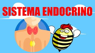 🟥SISTEMA ENDOCRINO 💚EXPLICADO FÁCIL🧠GLÁNDULAS Y HORMONAS🟥 [upl. by Deeann588]