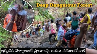 Saleshwaram Lingamaiah  Nallamala Forest  Dangerious trekking [upl. by Oshinski507]