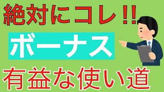 【資産形成】絶対にコレ‼︎ボーナスの有益な使い道 ＃26 [upl. by Eittocs]