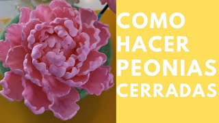 Peonias Cerradas [upl. by Loren353]