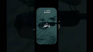 ربنا ولا تحملنا مالا طاقة لنا به محمودالشحاتأنور [upl. by Oringa111]