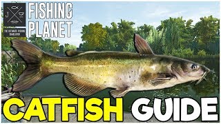 CATFISH Fishing Guide  Fishing Planet Tips [upl. by Greeson]