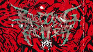 Bleeding Bacteria  Thanatos  Brutal Mind Promotion  Indonesia Death Core  Extreme Music Band [upl. by Gretna534]