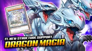 THE 550 BLUEEYES CARD❗ quotPUREquot BLUEEYES DRAGON MAGIA Deck ft NEW Structure Deck support [upl. by Ellirpa]