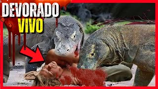 Los ATROCES ULTIMOS MINUTOS de RUDOLF – DRAGON de KOMODO ATACA a hombre [upl. by Dalila]