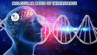 NEET Biology 2025 quotMOLECULAR BASIS OF INHERITANCEquot Pictographs Based Question [upl. by Ueihtam]