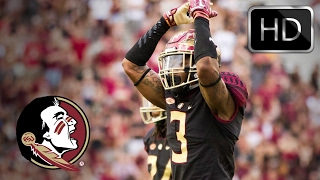 Derwin James  Hardest Hitting Safety in the Country  Ultimate Florida State Highlights [upl. by Bryon]