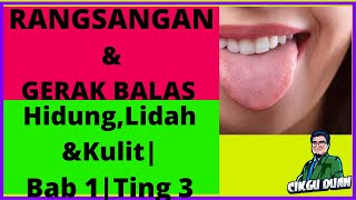 RANGSANGAN DAN GERAK BALAS  HidungLidahampKulit Bab 1 Sains Tingkatan 3 [upl. by Gustavus]