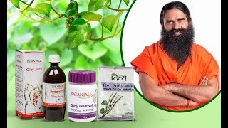 अमृत समान है गिलोय। Health Benefits of Giloy । Patanjali Ayurved [upl. by Stoll382]