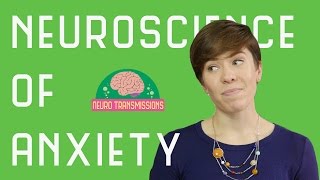 Neuroscience of Anxiety [upl. by Accebar]