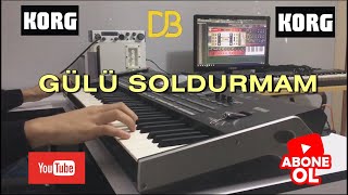 KORG PA3X  Gülü Soldurmam  Enstrumantal Altyapı [upl. by Arihsaj424]