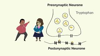 How Zoloft Sertraline Works [upl. by Ibson]