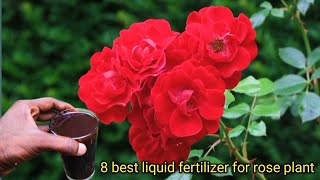 8 Best Liquid Fertilizer For Rose Plant Growing Fertilizer tamil rose plant growing tipsboogarden [upl. by Nebeur498]