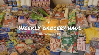 Weekly grocery haul for family of 6 groceryshopping grocerystorehaul weeklyfoodshop aldi [upl. by Sass557]