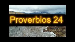 Versiculos de la biblia PROVERBIOS 24 [upl. by Dloreg477]