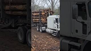 Nice Load Of Pulpwood logger construction logginglife trucker loggerlife trending tree [upl. by Lah822]