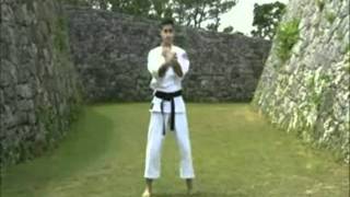 Okinawan Martial Arts  The Great Masters 1 [upl. by Vallo879]