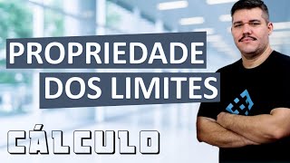 📚 Propriedade dos Limites  Cálculo 1 4 [upl. by Shore]