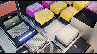 Opentrons Flex Zymo MagBead DNA Kit ➡ Illumina DNA Prep [upl. by Okechuku667]