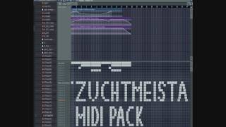 1000 Hardstyle Midis Big Pack [upl. by Ayrotal871]