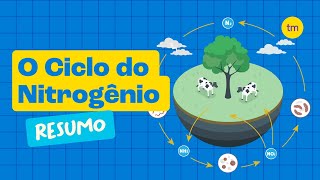 CICLO DO NITROGÊNIO  Como Funciona [upl. by Keelia]