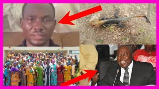 DRAMA AS STUDENTS QUIT SCHOOL TO LOOK FOR AGAMA LIZARDS FOR RITUALISTS AND UPDATE ON LILWIN ACCID£NT [upl. by Esinek]