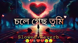 চলে গেছ তুমি Slowed  Reverb  Lofi Song  Bangla Song 2024 [upl. by Ecydnarb]