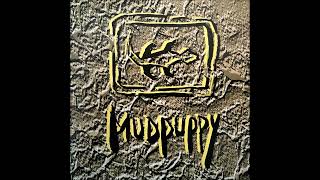 Mudpuppy  Voodoo Neville Brothers cover [upl. by Aihsyn]