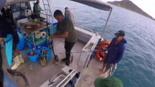 Fishing DUrville Island New Zealand [upl. by Modestine]