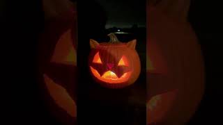 Jack O Lantern Carving Contest pumpkin pumpkincarving contest halloween spookyseason [upl. by Merrile]