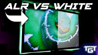 ALR vs White Projector Screen Comparison  Which Is Best For You [upl. by Saddler469]