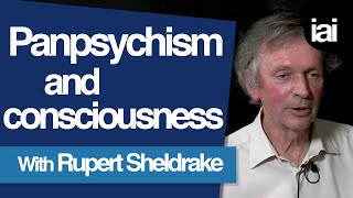 How Panpsychism Can Explain Consciousness  Rupert Sheldrake [upl. by Nahc]