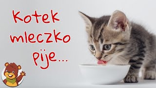 Kotek mleczko pije  Miś Tami TV  Piosenki dla dzieci [upl. by Roleat]