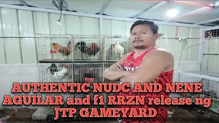 AUTHENTIC NUDC AND OTHER BLOODLINES JTP GAMEYARD release [upl. by Thurlough]