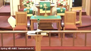 Spring Hill AME Church Summerton SC Church School 2nd Sunday Worship Experience [upl. by Sremlahc]