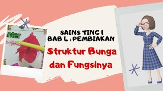 Sains tingkatan 1 Bab 4  Pembiakan Struktur Bunga dan Fungsinya [upl. by Zimmerman]