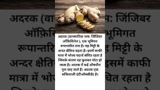 अदरक के फायदे  Adrak Ke Fayde  Adrak In Hindi  Adrak Benefits In Hindi  Ginger Benefits shorts [upl. by Ardin905]