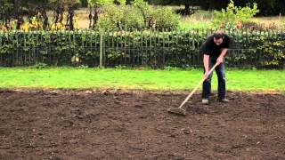 How to Prune Ornamental Grasses [upl. by Aneer]