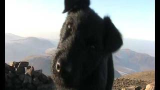 Mitz the Famous Fell Running Patterdale [upl. by Fitting]