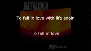 Metallica  Fixxxer Lyrics HD [upl. by Gun]