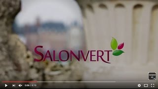 SalonvertLe film [upl. by Einnim]