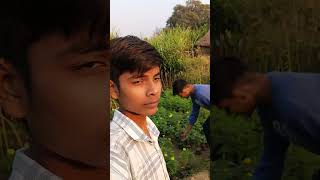 🪴Gamle ki to dhaki tiki ho gyi minivlog shortvideo dailyvlog vlogger youtubevlog vlog [upl. by Garneau31]