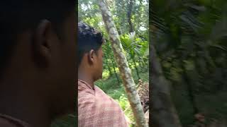 Short video Dak Pakhi dhara viralvairal video Dangar [upl. by Castle]