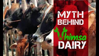 अहिंसा डेयरी  Ahimsa Dairy  ydairyiscruel  YV CARE Vegan Hindi India [upl. by Aipmylo]