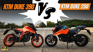 2024 KTM Duke 250 VS Duke 390🔥  Which one is better [upl. by Hunter]