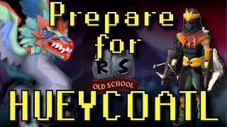 HUEYCOATL  QUICK GUIDE  New Boss  Old School Runescape [upl. by Enimrej]